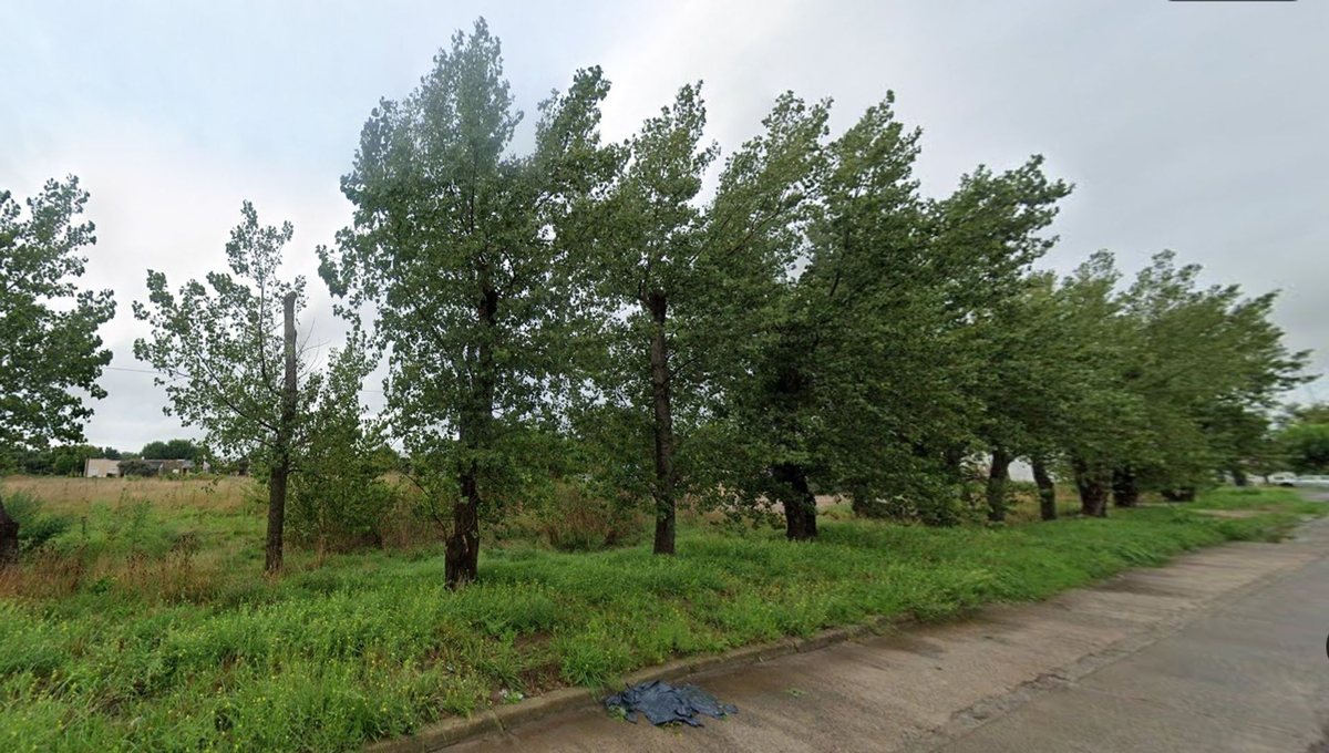 Foto 5 — LOTES EN VENTA EN GENERAL BELGRANO 1 HECTÁREA