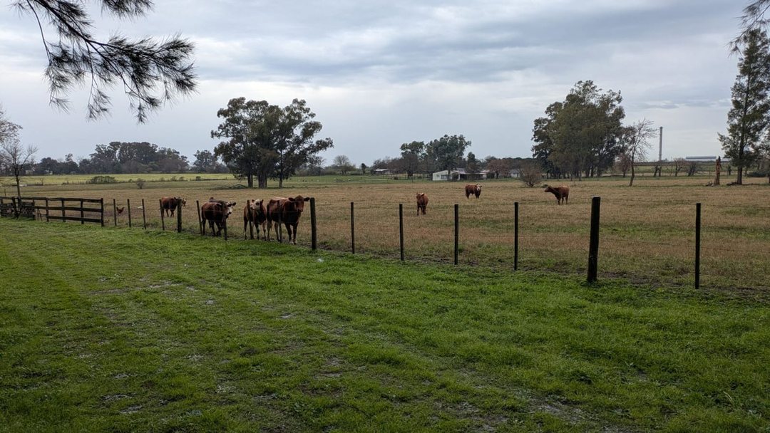 VENTA DE CAMPO DE 8 HA EN EL PQUE. IND. PILAR