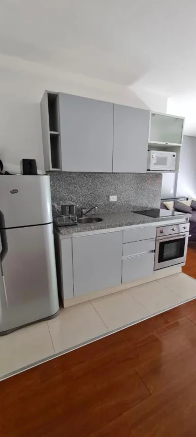 Monoambiente en alquiler en Belgrano, Avenida Doctor Ricardo Balbín 2300, foto 2