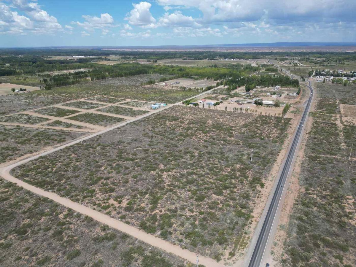 Foto 3 — VENTA DE LOTE 10 HECTAREAS PLOTTIER NEUQUEN