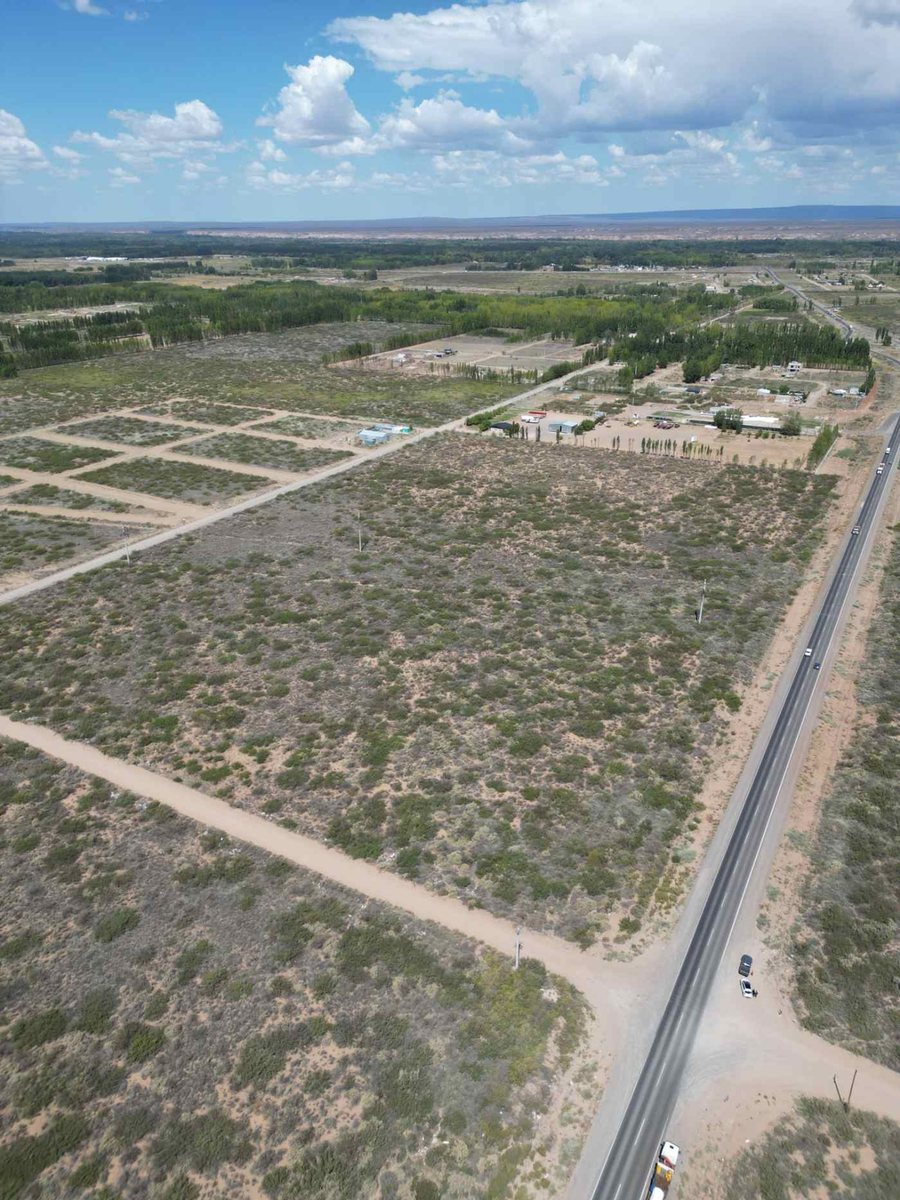 Foto 4 — VENTA DE LOTE 10 HECTAREAS PLOTTIER NEUQUEN