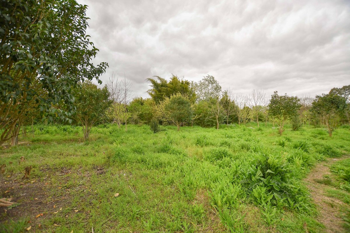 Foto 9 — TERRENO EN VENTA LA PLATA