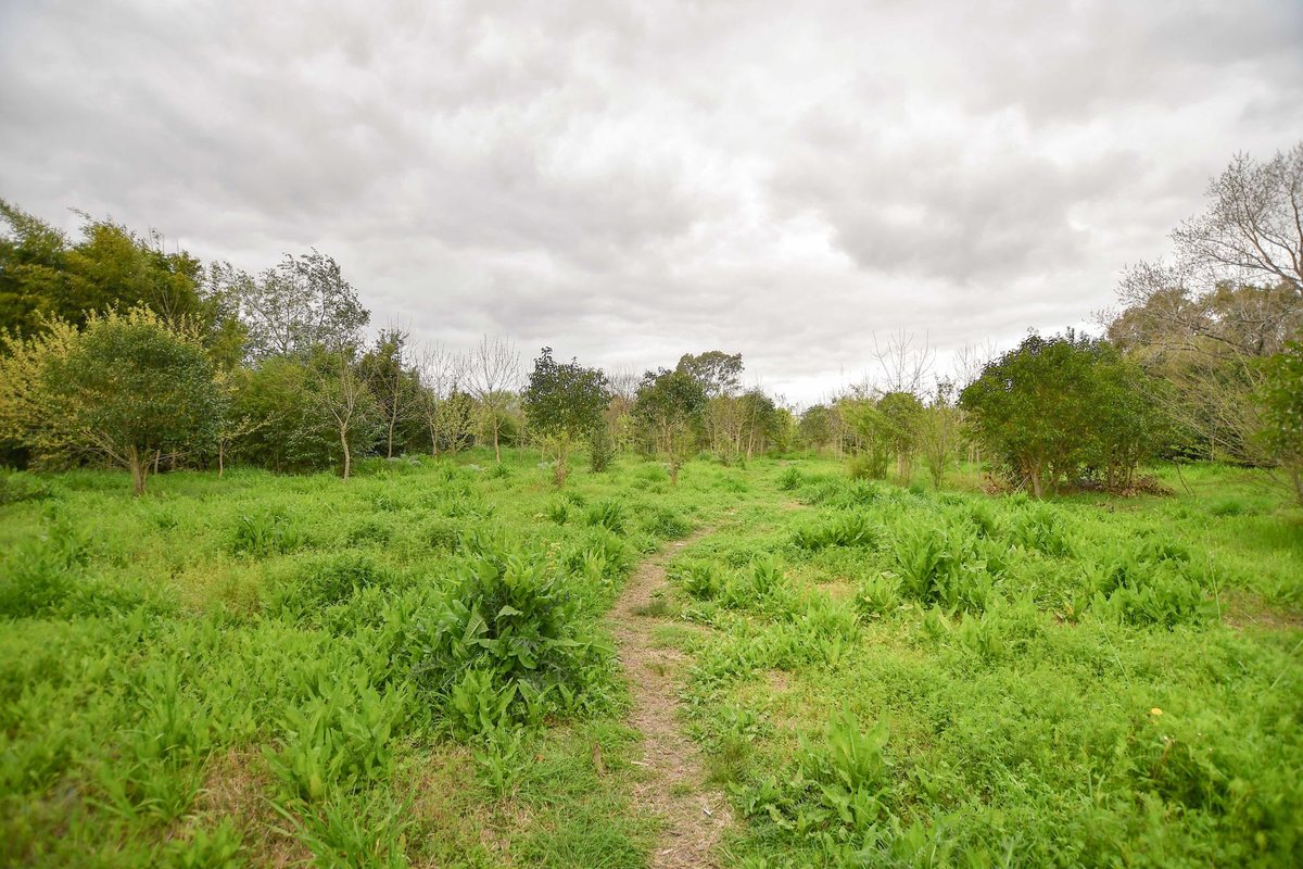 Foto 6 — TERRENO EN VENTA LA PLATA