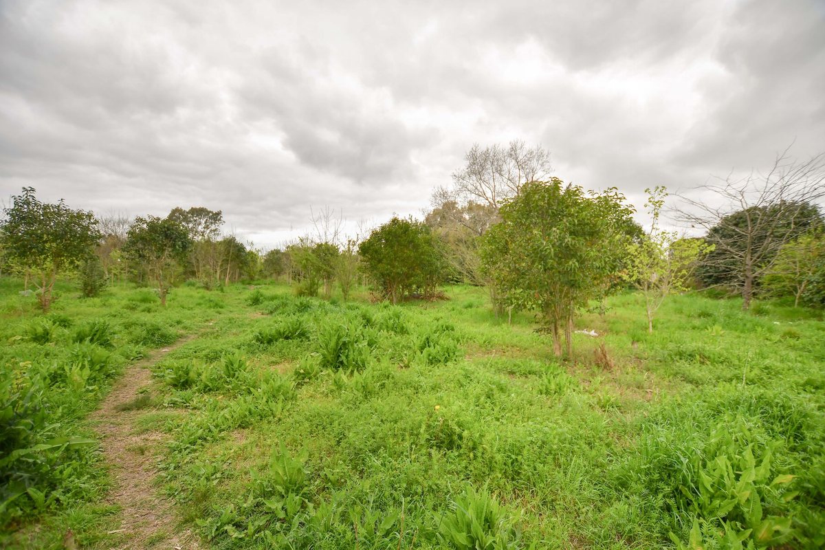 Foto 10 — TERRENO EN VENTA LA PLATA