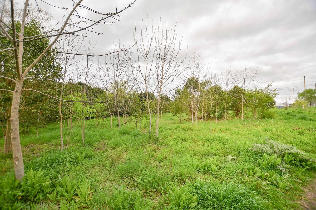 Foto 12 — TERRENO EN VENTA LA PLATA