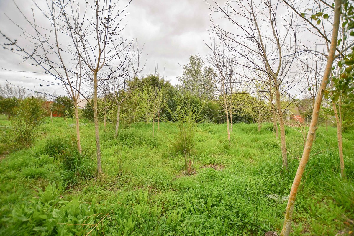 Foto 14 — TERRENO EN VENTA LA PLATA