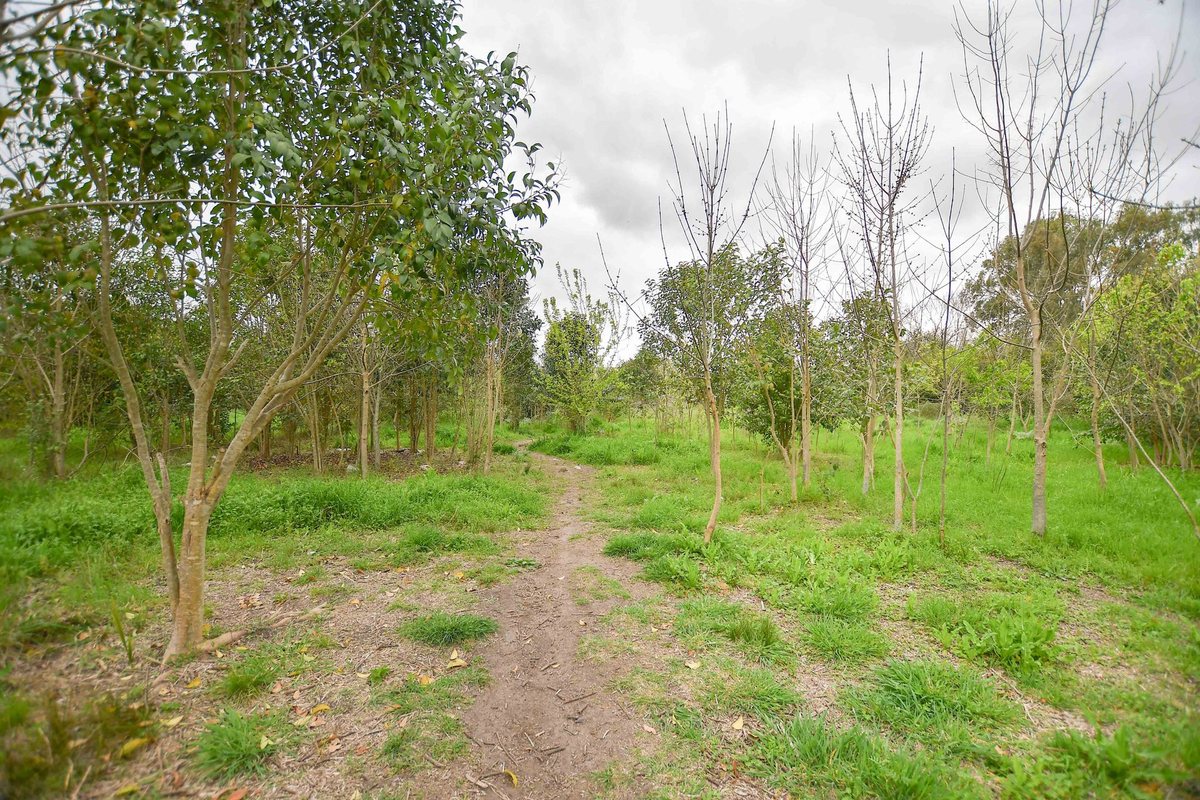 Foto 11 — TERRENO EN VENTA LA PLATA