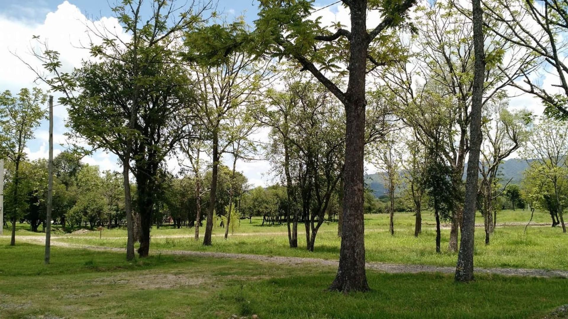 TERRENO VENTA O PERMUTA POTREROS DE LA CALDERA - foto 4