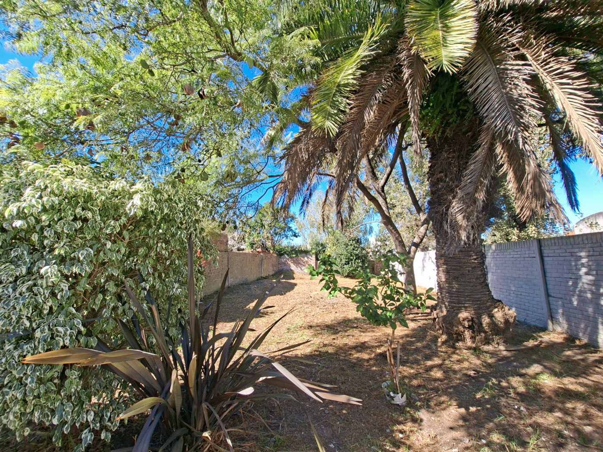 Foto 13 — VENTA CASA 3 AMB CON PARQUE, BERNAL ESTE.APTA CRED