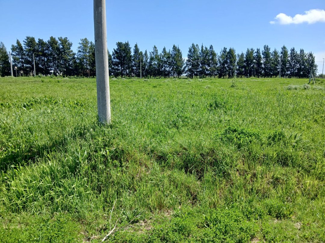 TERRENO EN VENTA EN ROMERO, EXCELENTE BARRIO