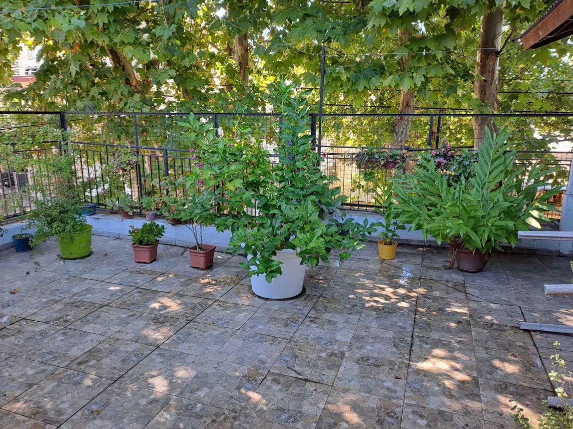 PH de 5 ambientes en venta en Villa Maipú, Pueyrredon 2700, foto 3