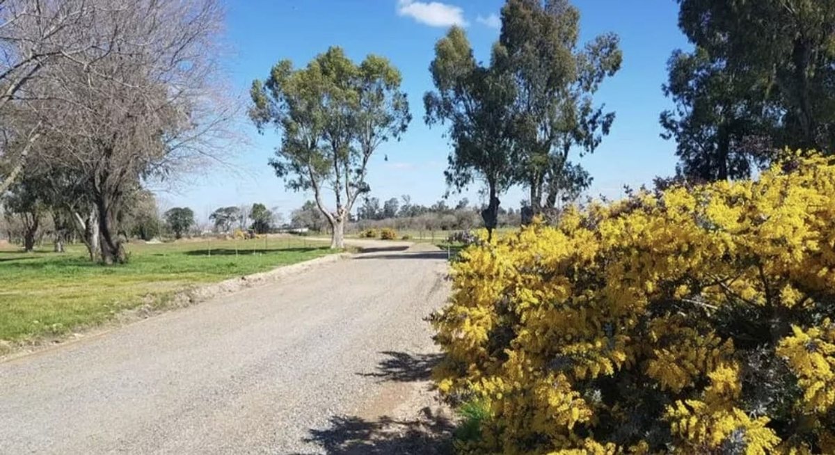 Foto 7 — LOTE BARRIO PRIVADO SAINT JOSEPH VENTA OPORTUNIDAD