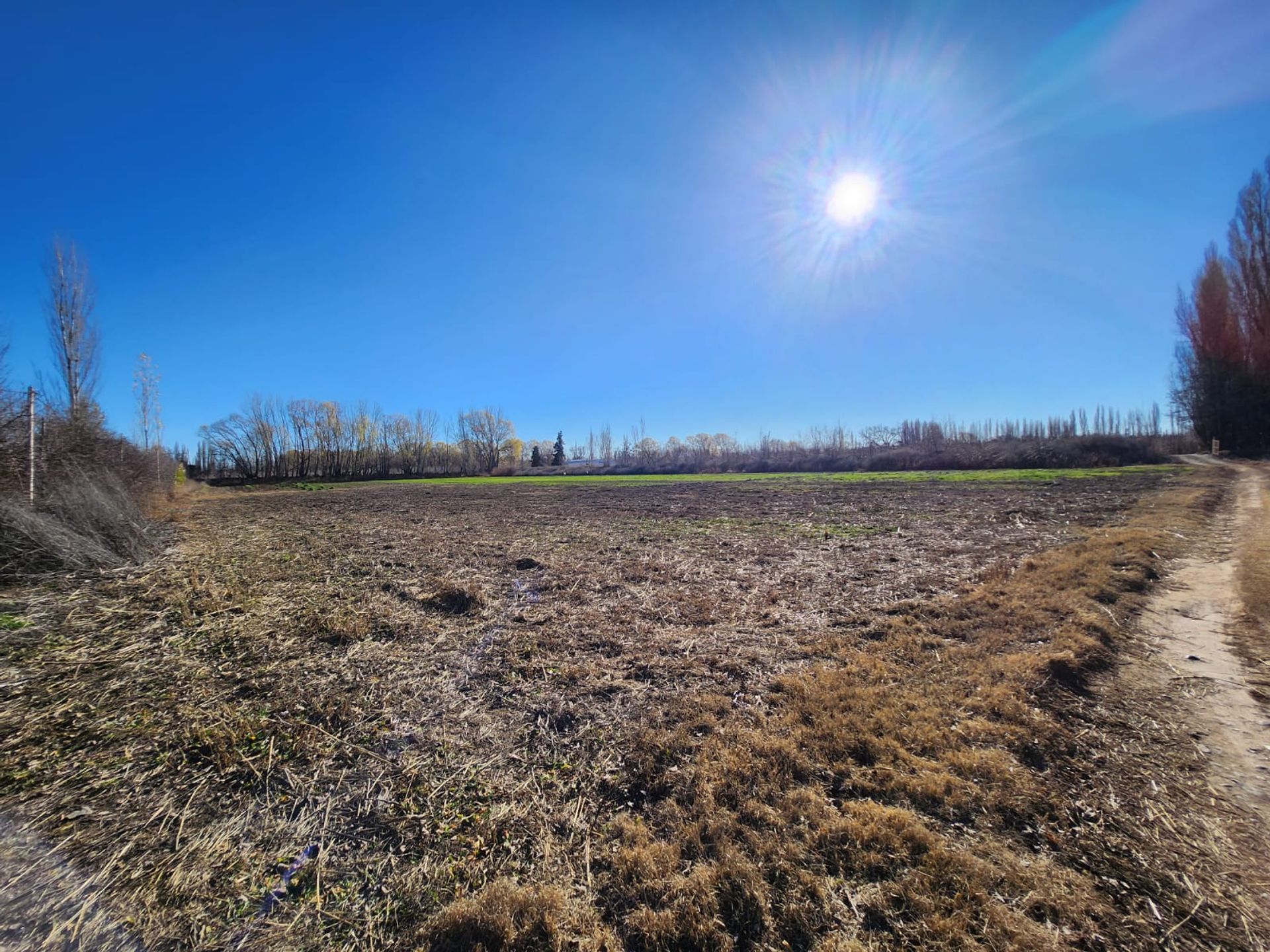 Foto 15 — VENTA CHACRA 3,1 HECTAREAS EN VISTA ALEGRE SUR