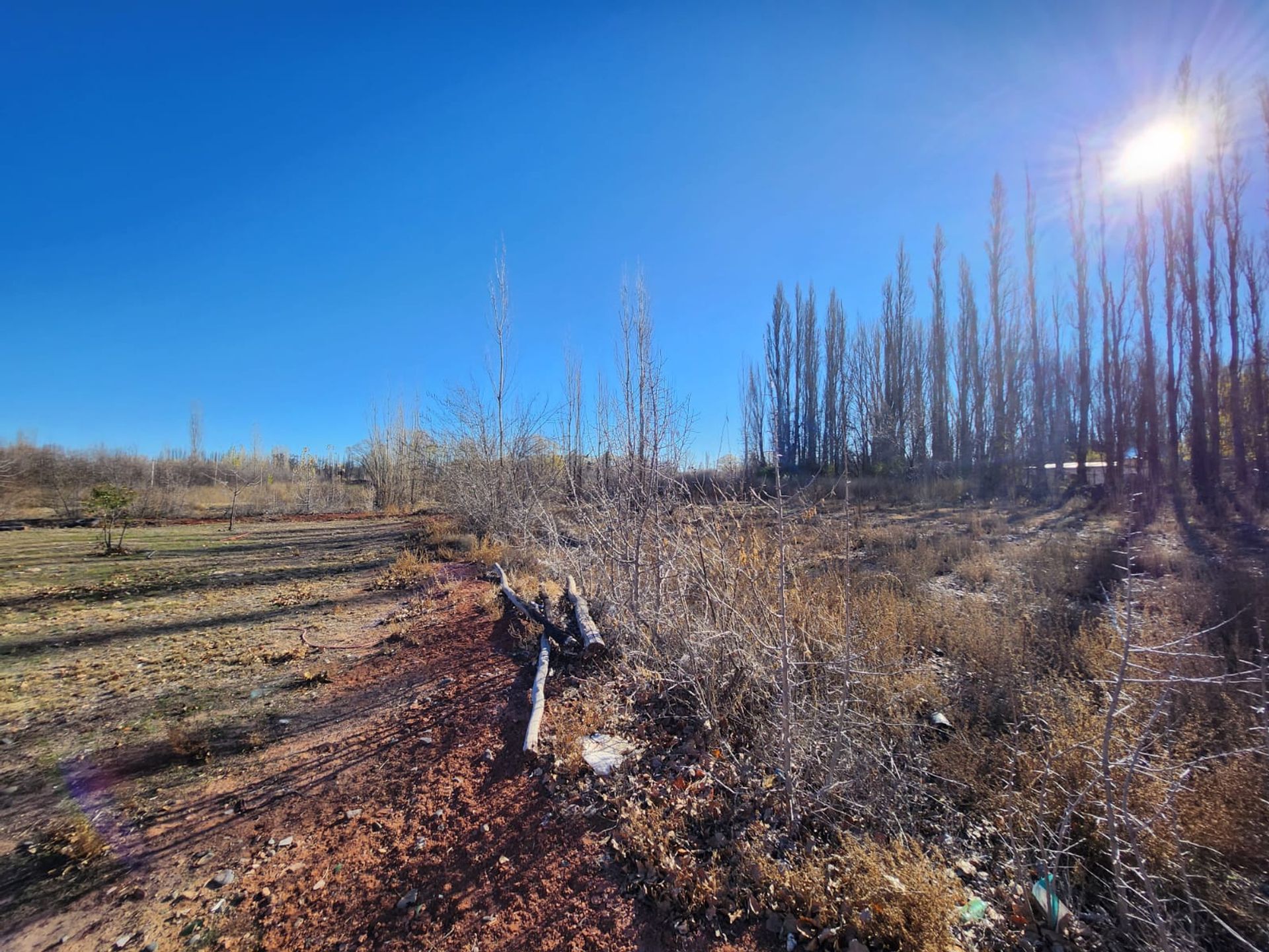 Foto 35 — VENTA CHACRA 3,1 HECTAREAS EN VISTA ALEGRE SUR