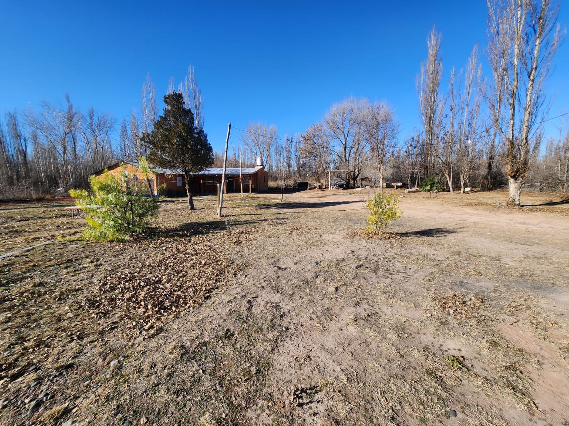 Foto 21 — VENTA CHACRA 3,1 HECTAREAS EN VISTA ALEGRE SUR