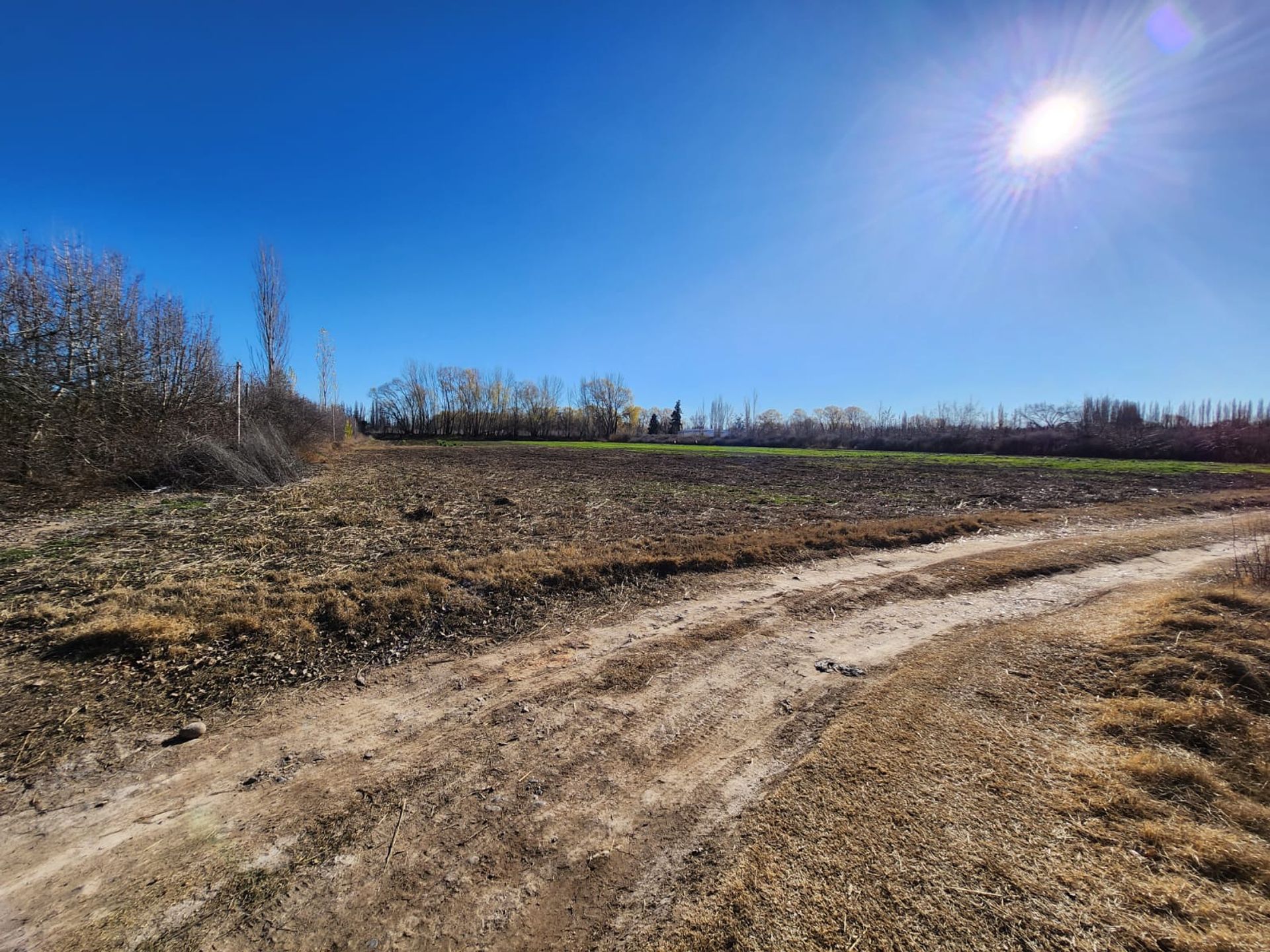Foto 17 — VENTA CHACRA 3,1 HECTAREAS EN VISTA ALEGRE SUR