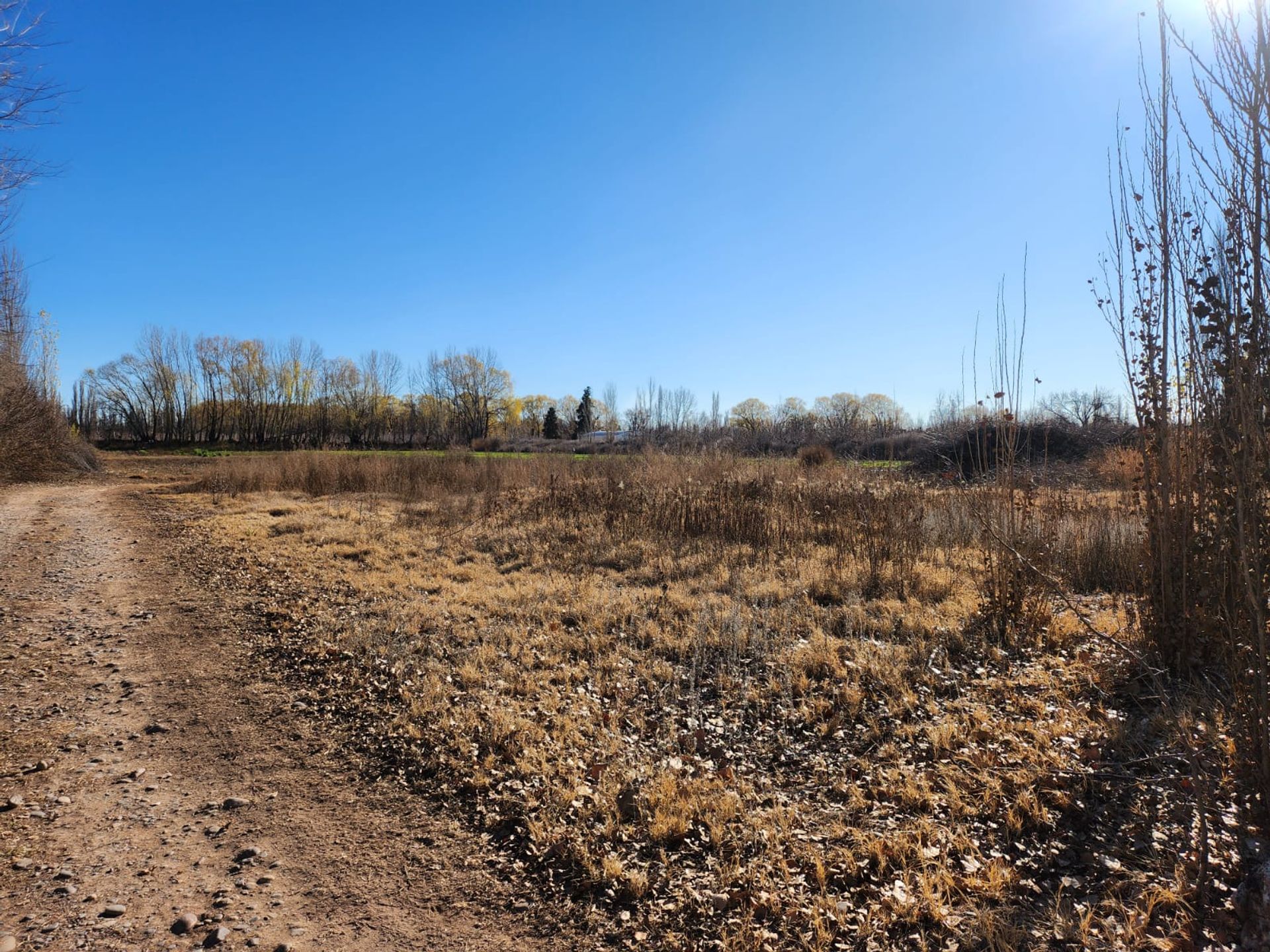 Foto 19 — VENTA CHACRA 3,1 HECTAREAS EN VISTA ALEGRE SUR