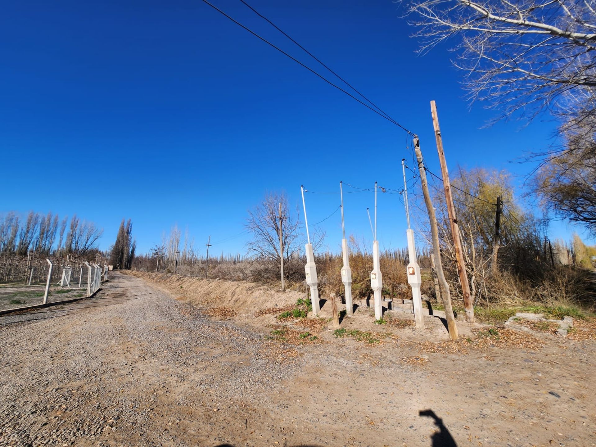 Foto 5 — VENTA CHACRA 3,1 HECTAREAS EN VISTA ALEGRE SUR