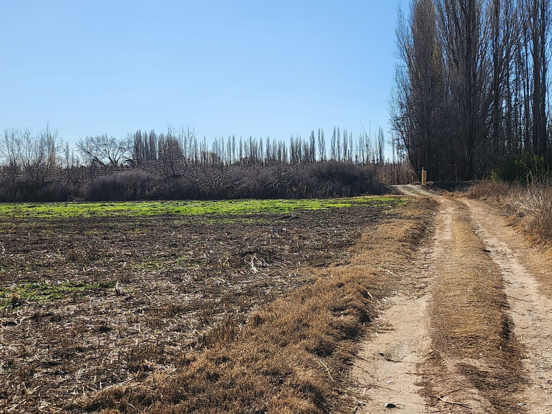 Foto 14 — VENTA CHACRA 3,1 HECTAREAS EN VISTA ALEGRE SUR