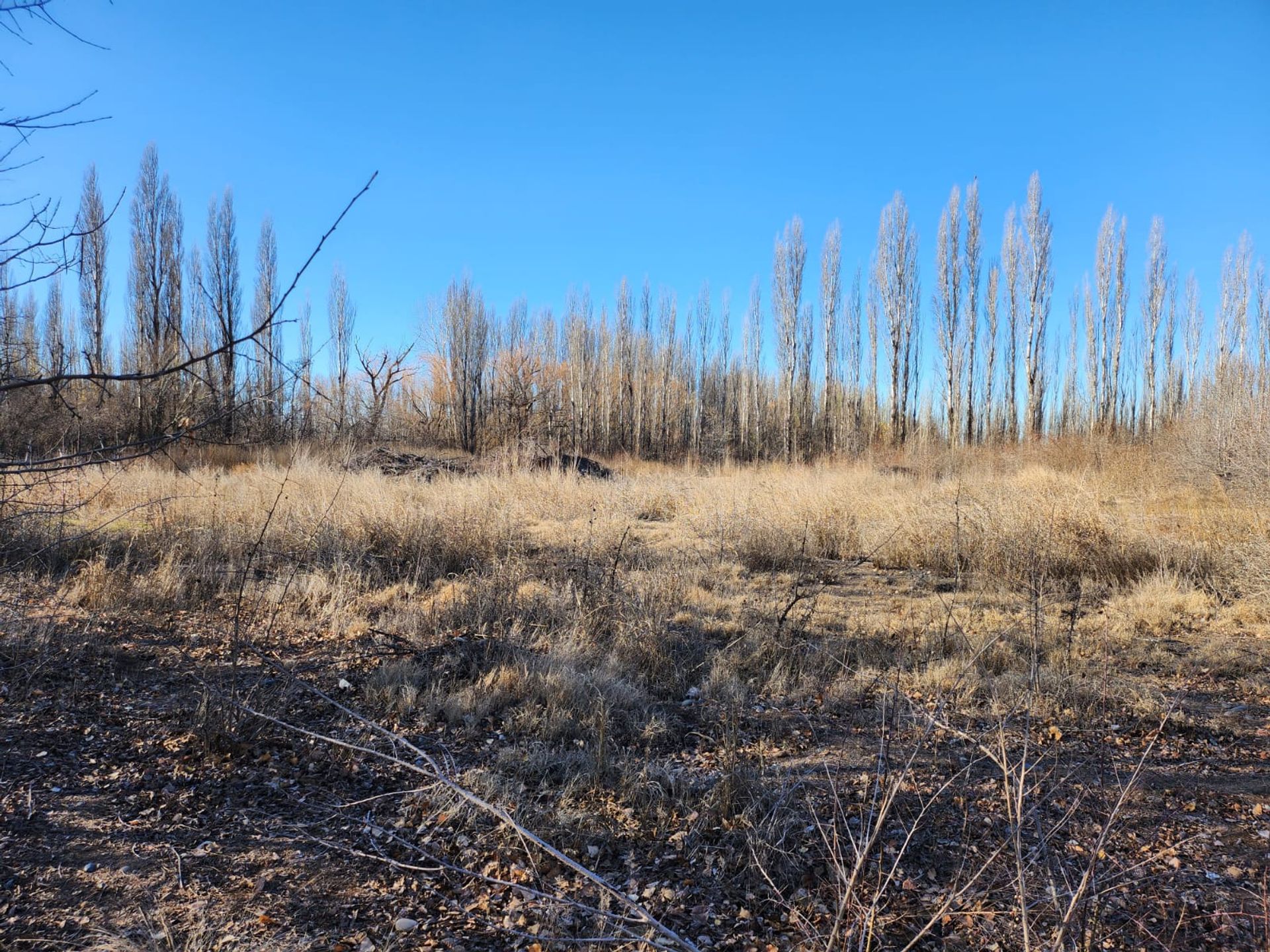 Foto 24 — VENTA CHACRA 3,1 HECTAREAS EN VISTA ALEGRE SUR