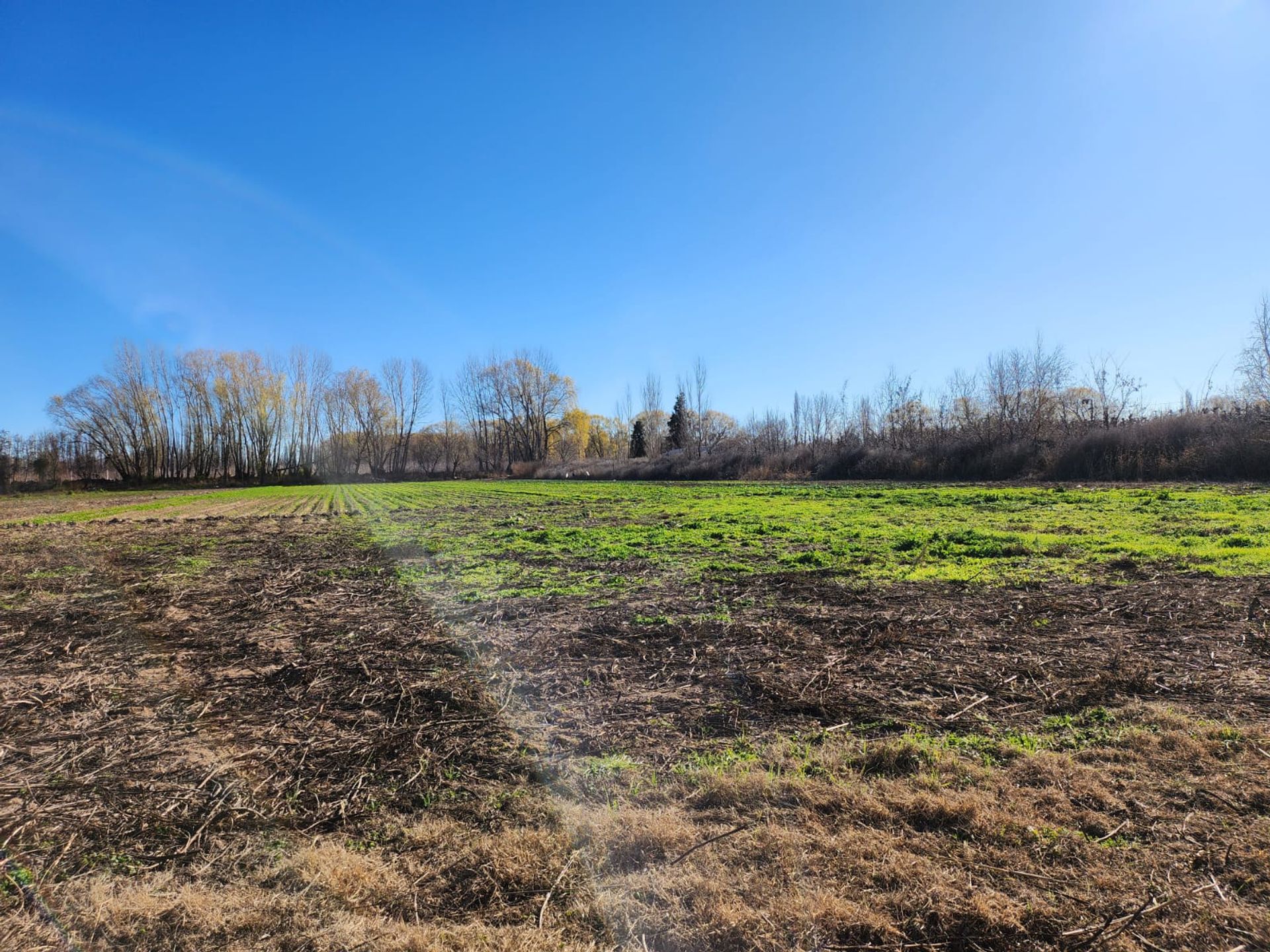 Foto 12 — VENTA CHACRA 3,1 HECTAREAS EN VISTA ALEGRE SUR