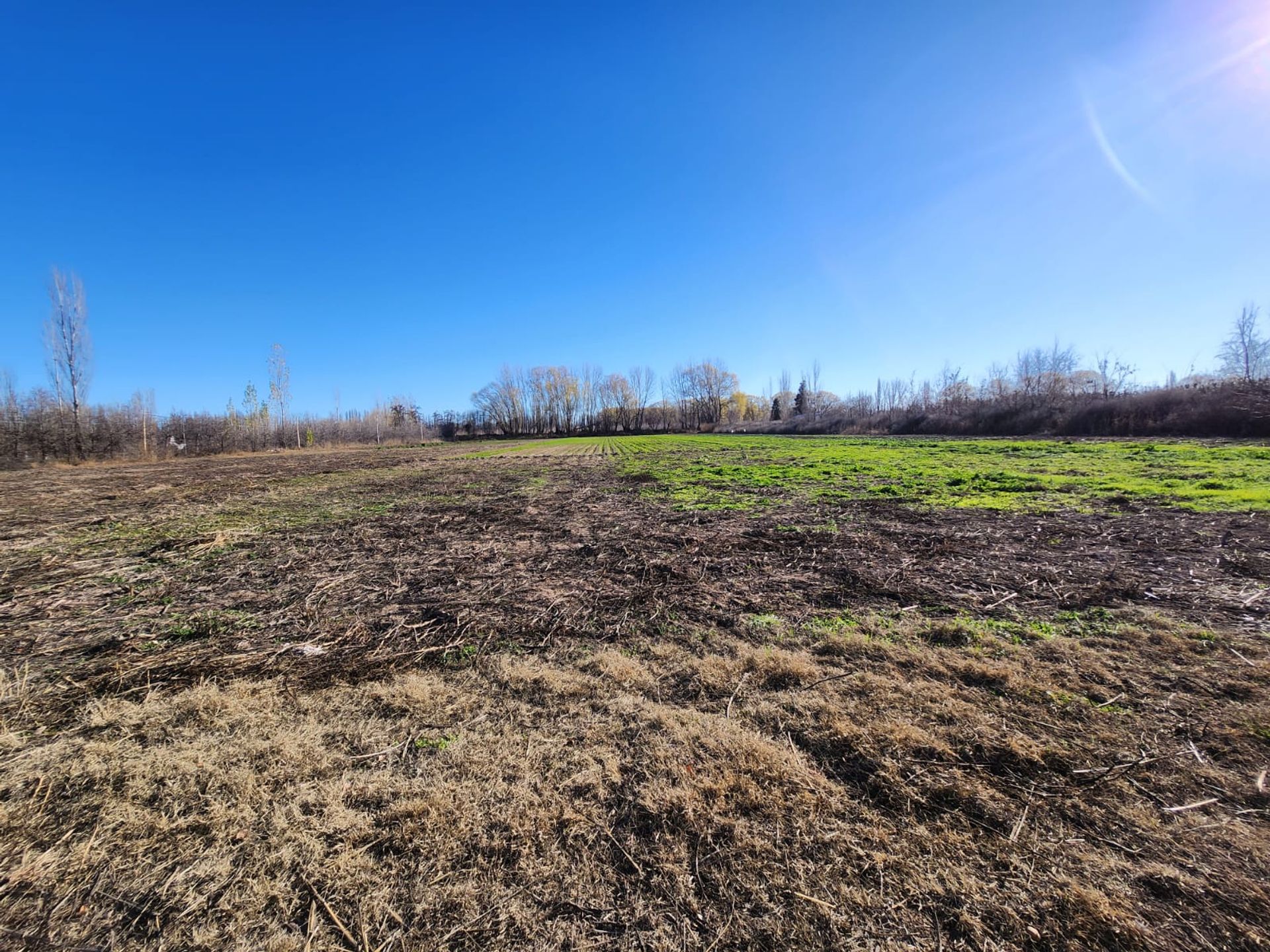 Foto 13 — VENTA CHACRA 3,1 HECTAREAS EN VISTA ALEGRE SUR