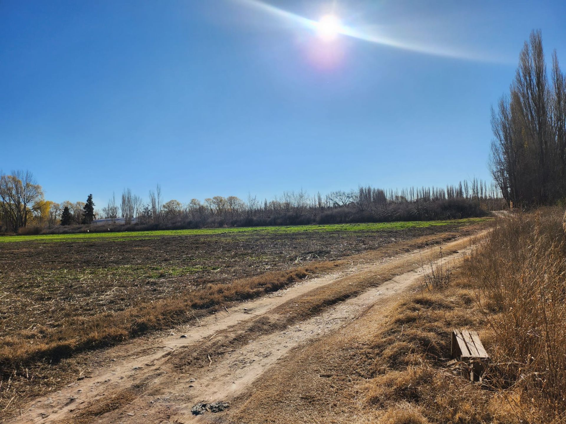 Foto 16 — VENTA CHACRA 3,1 HECTAREAS EN VISTA ALEGRE SUR