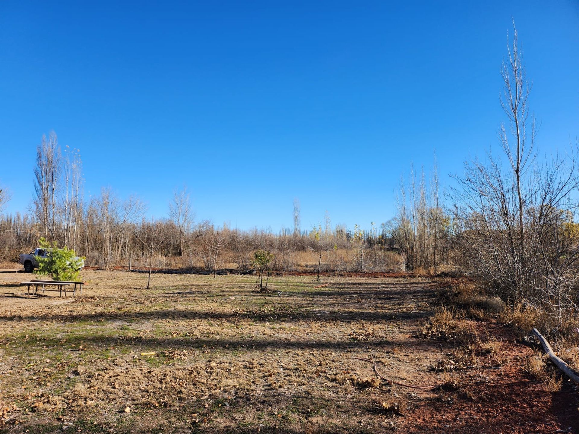 Foto 36 — VENTA CHACRA 3,1 HECTAREAS EN VISTA ALEGRE SUR
