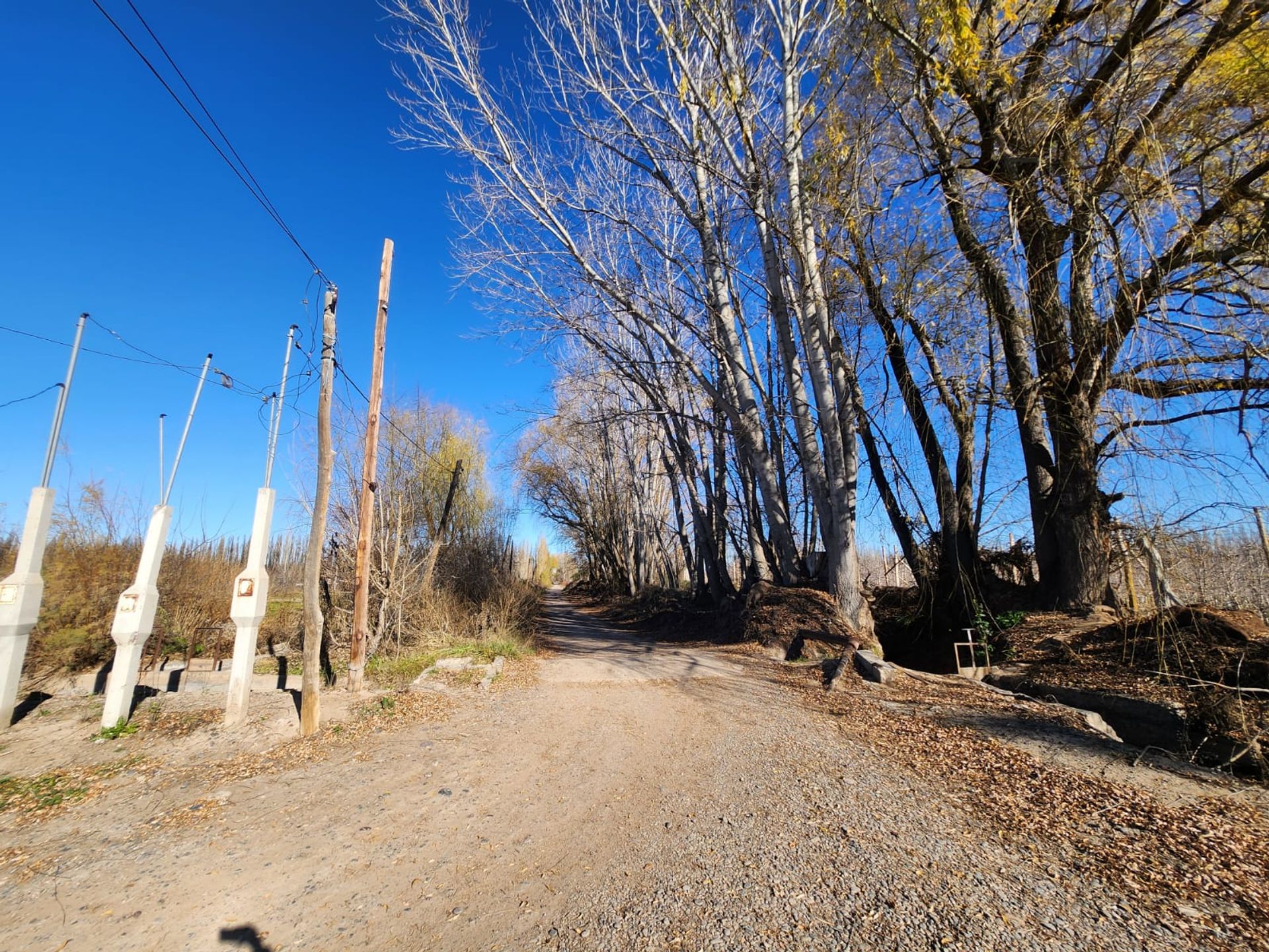 Foto 7 — VENTA CHACRA 3,1 HECTAREAS EN VISTA ALEGRE SUR