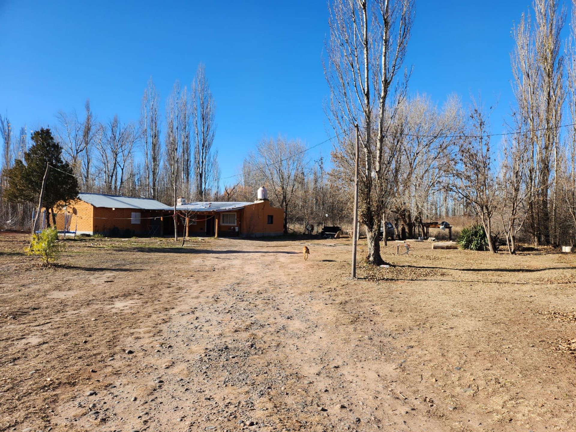 Foto 39 — VENTA CHACRA 3,1 HECTAREAS EN VISTA ALEGRE SUR