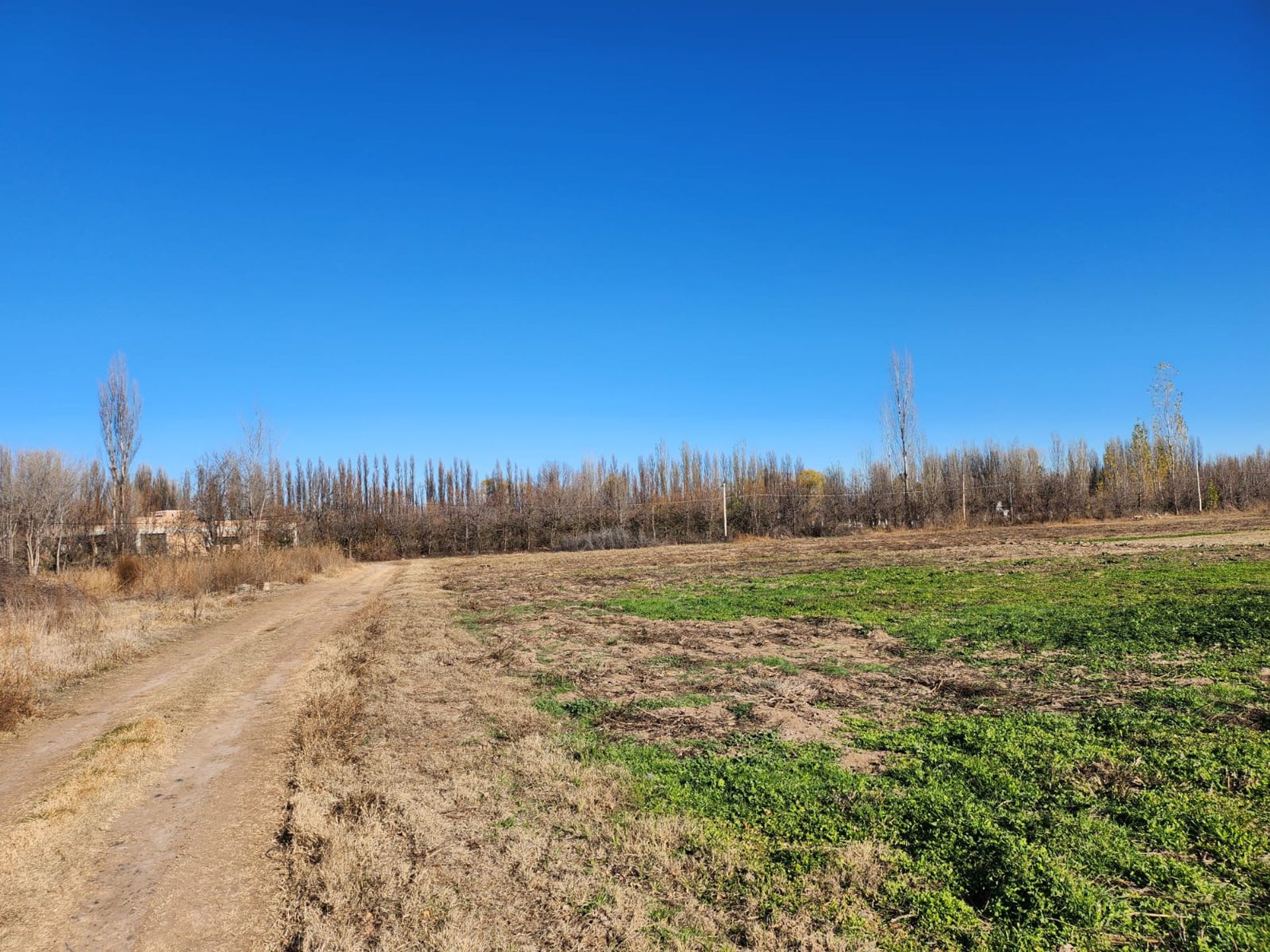 Foto 11 — VENTA CHACRA 3,1 HECTAREAS EN VISTA ALEGRE SUR