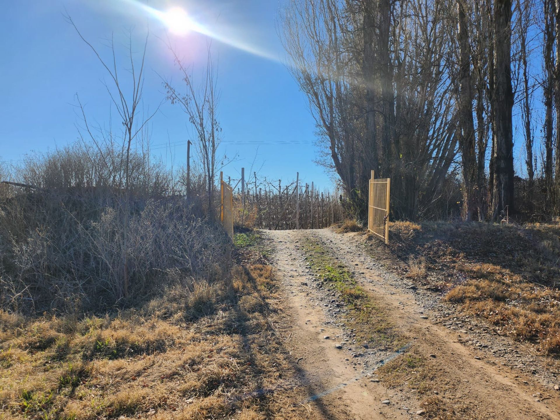 Foto 9 — VENTA CHACRA 3,1 HECTAREAS EN VISTA ALEGRE SUR