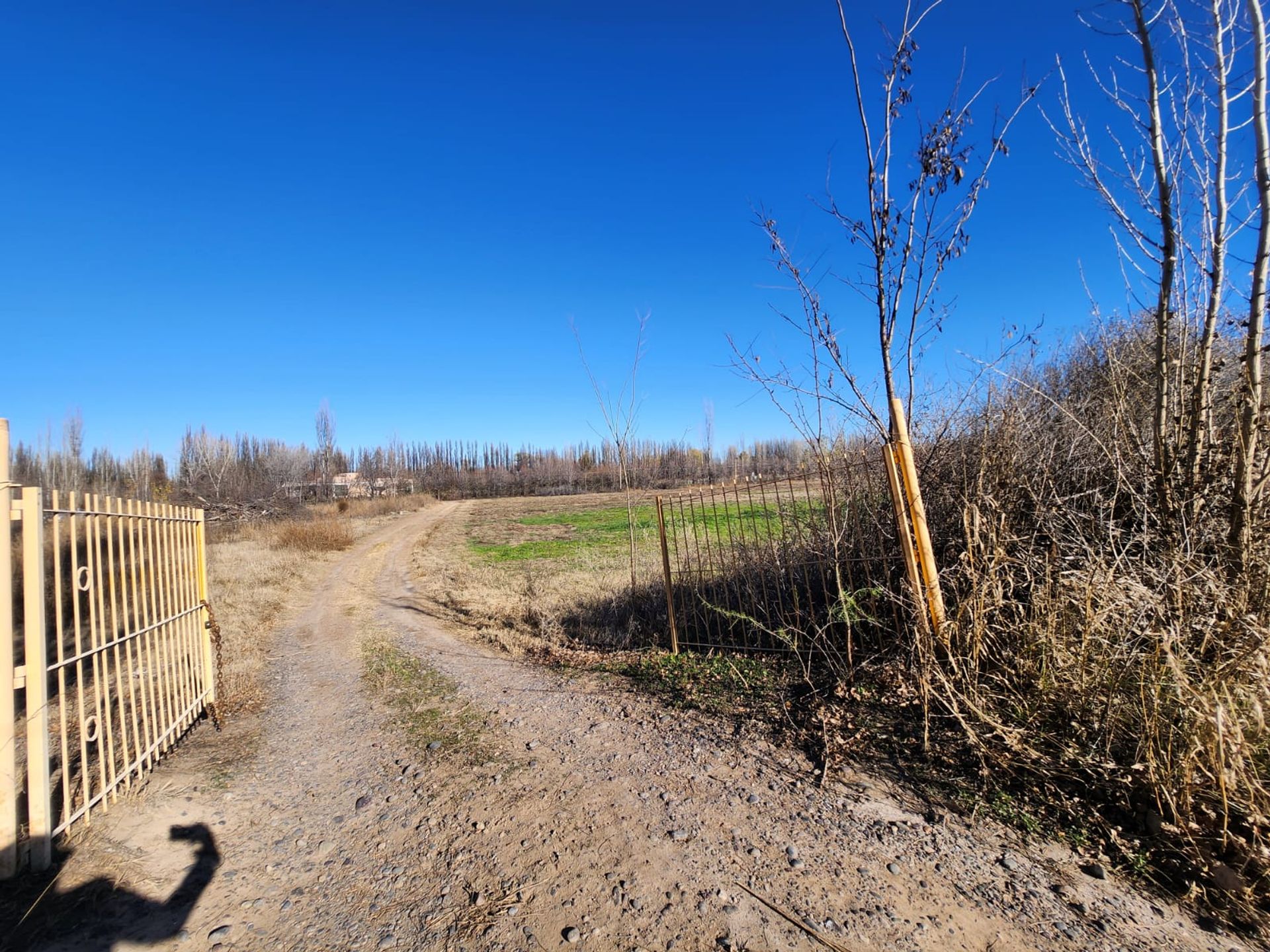 Foto 8 — VENTA CHACRA 3,1 HECTAREAS EN VISTA ALEGRE SUR