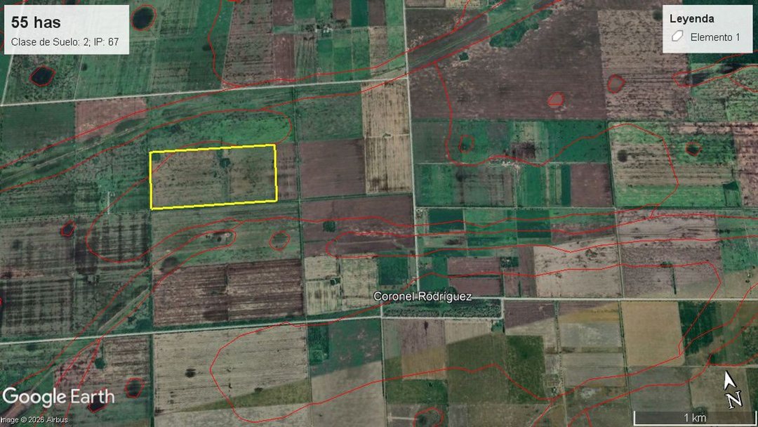 VENTA 55 HAS CAMPO AGRICOLA SAN MARIANO