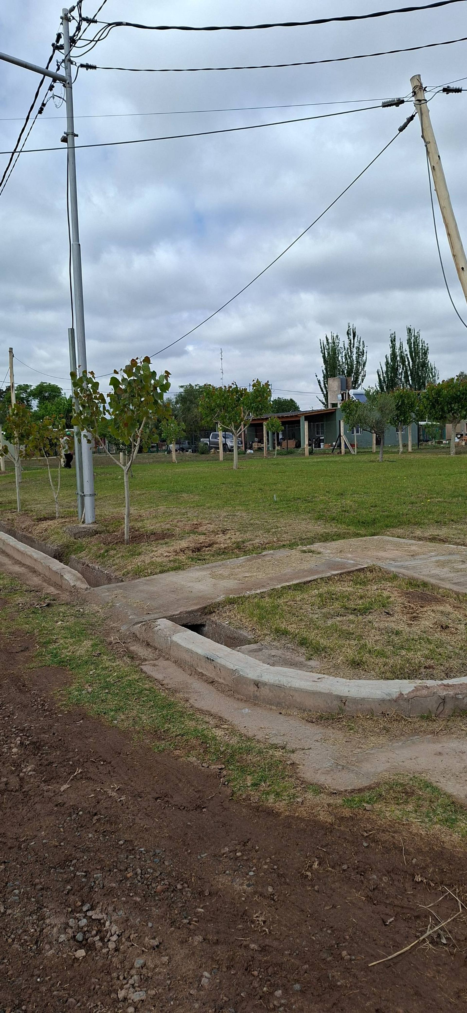 Imagen 7