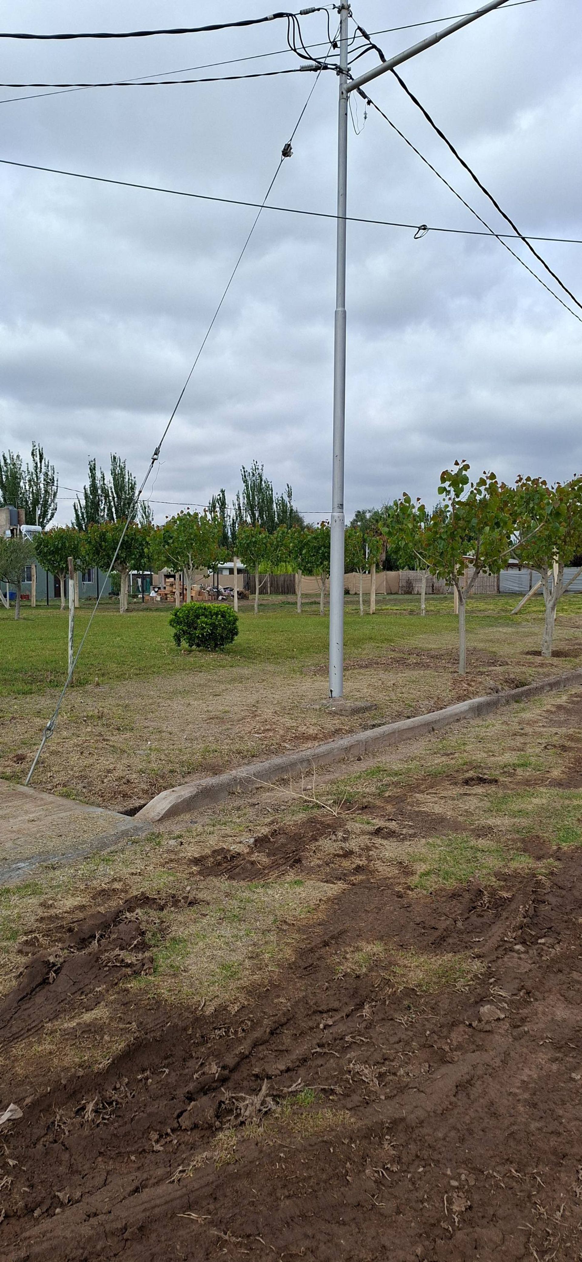 Imagen 8