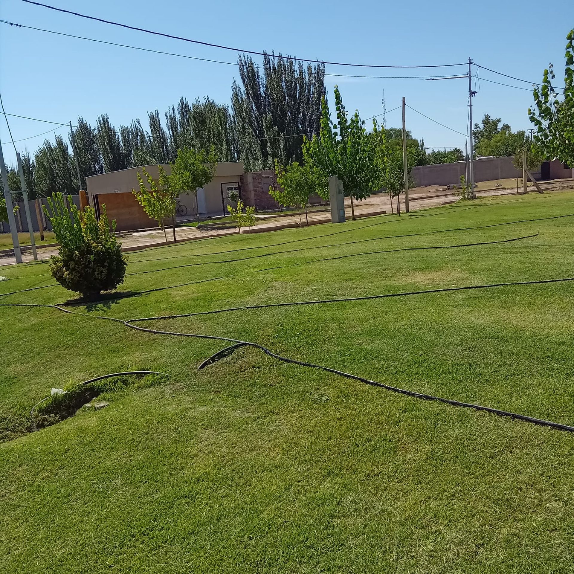 Imagen 9