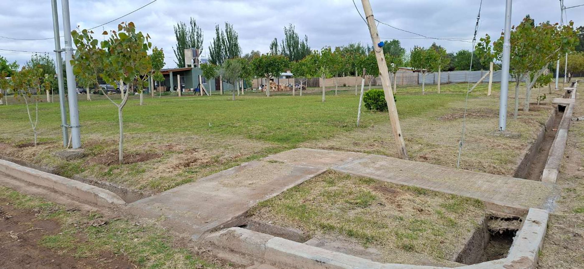 Imagen 5
