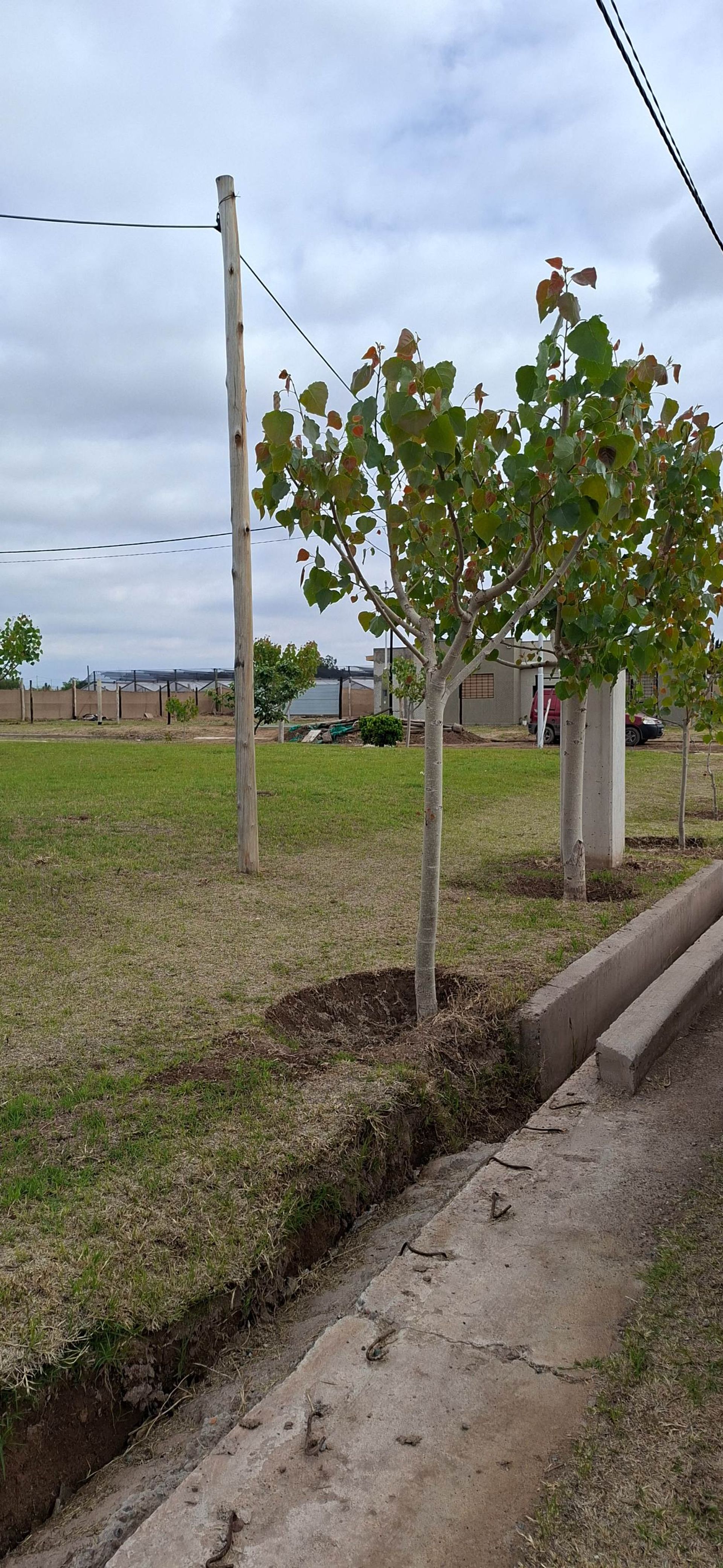 Imagen 11