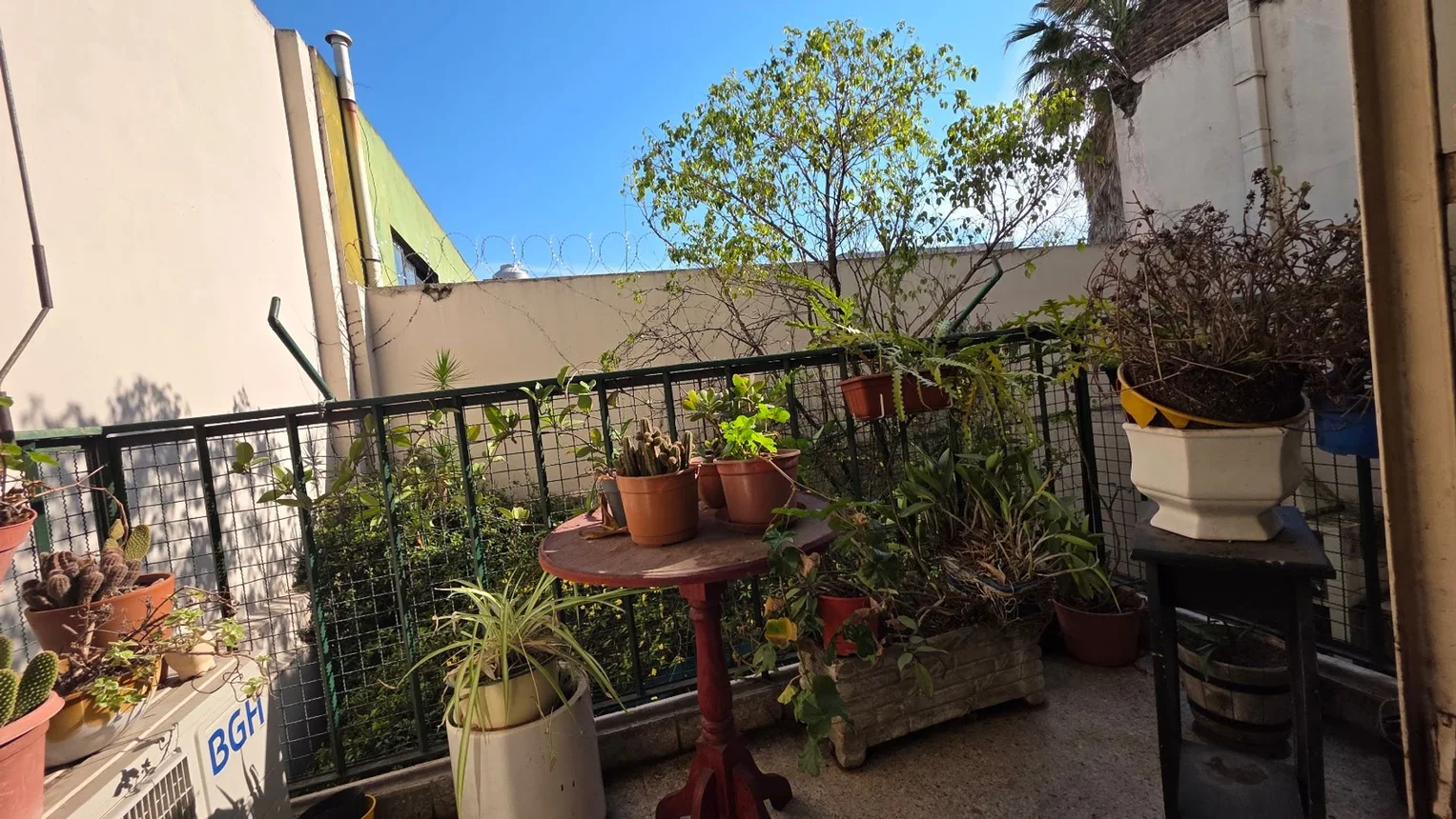 Departamento de 3 ambientes en venta en Floresta, Concordia 0, foto 2