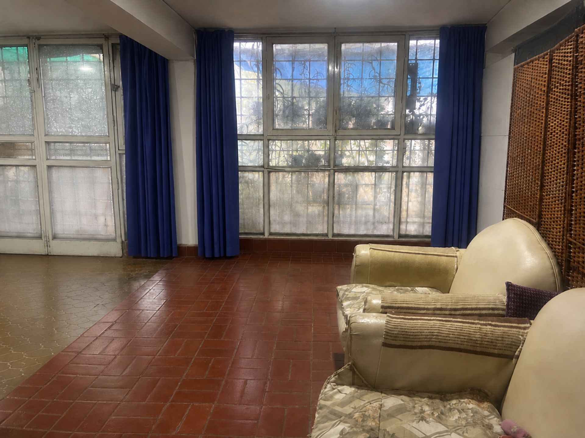 Imagen 5