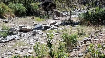 VENTA DE CAMPO DE 3399 HAS. VALLE FERTIL