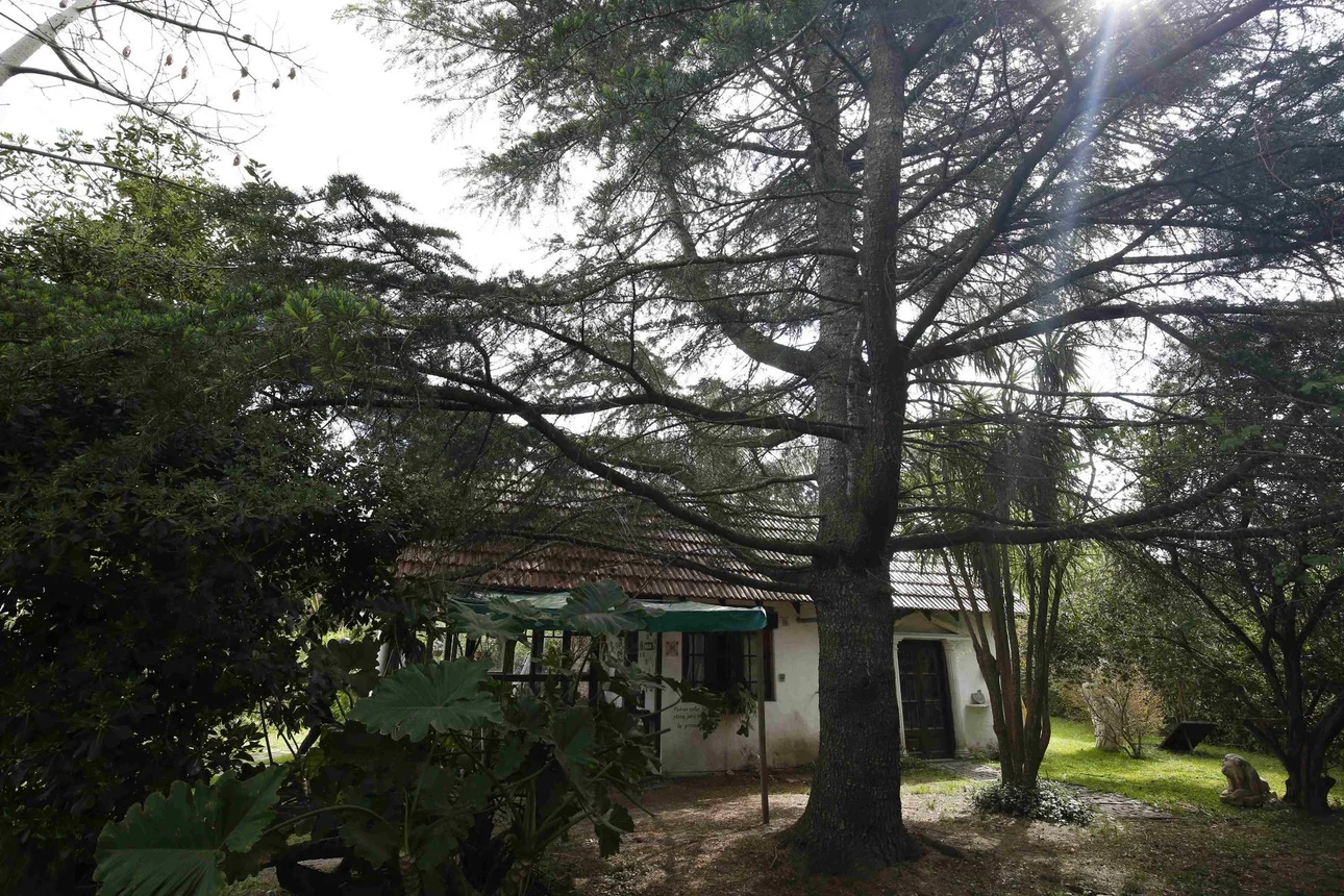 Casa de 3 ambientes en venta en City Bell, Calle 458 Entre 21  y 21a 1300, foto 4
