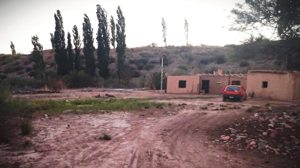 Imagen 5