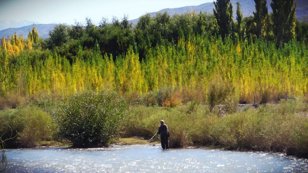 Campo en Ruta 431, 1km Al Norte de Puente de Villa Nueva 0