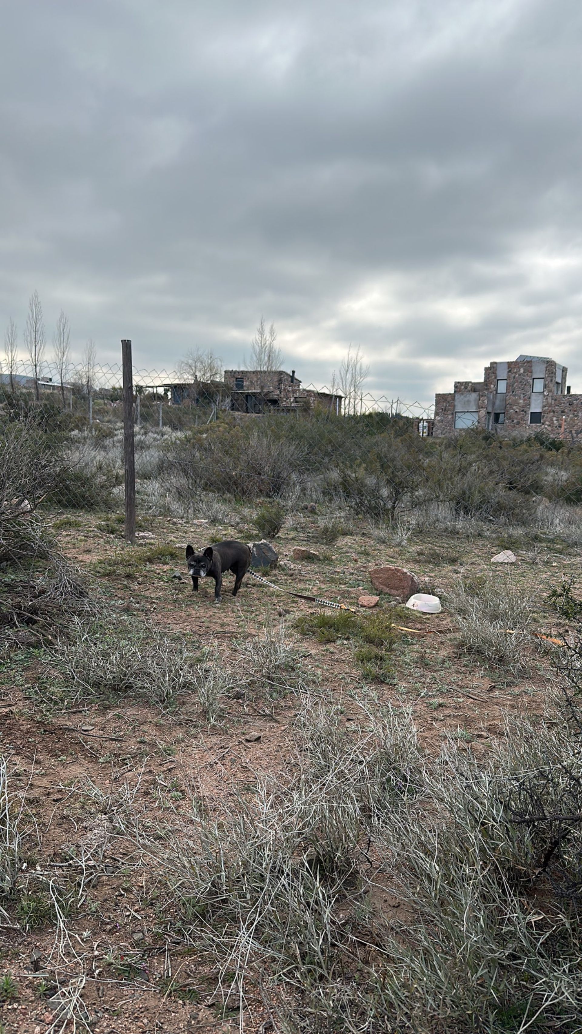 Imagen 9