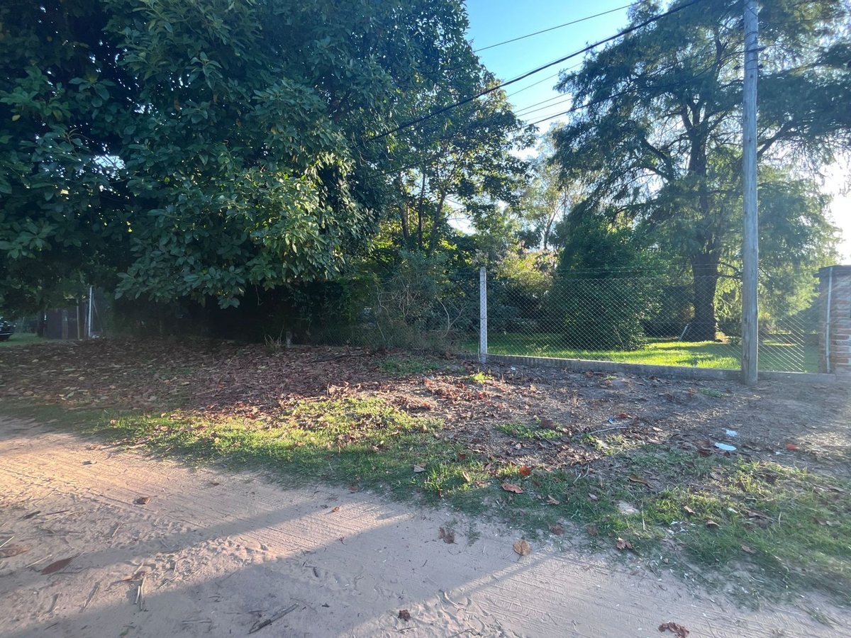 Venta terreno cercado, forestado villa california