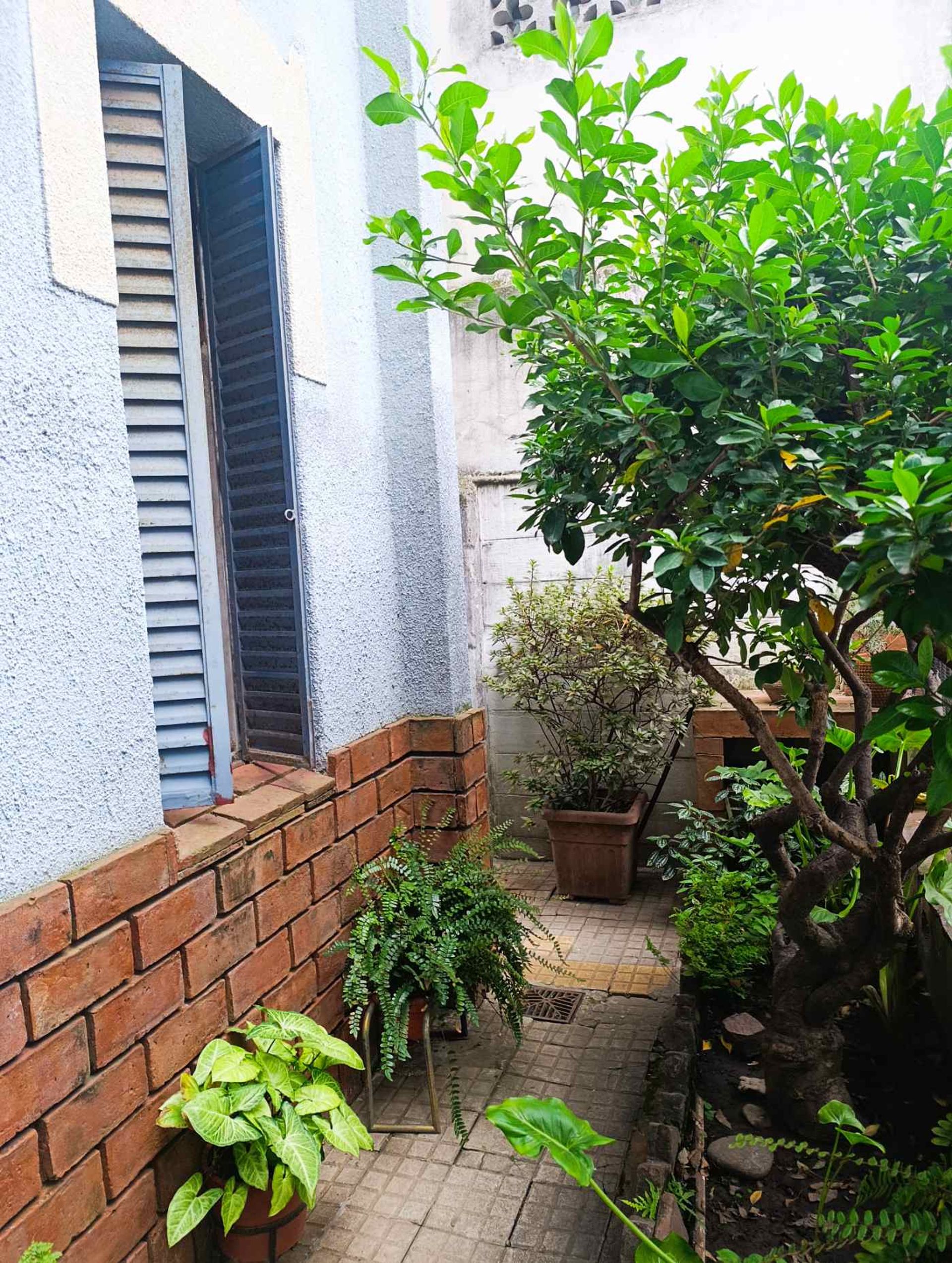 Foto 35 — VENTA CASA 3 AMB LINIERS CON PATIO Y DEPENDENCIA