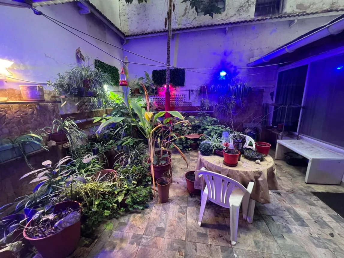 Departamento 3 ambientes venta palermo patio, foto 3