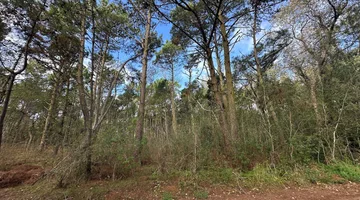 VENTA TERRENO CARILO CON VISTA A LA RESERVA